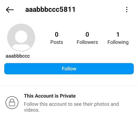 what are fake instagram accounts